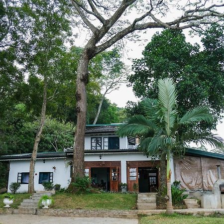 Welikande Yoga Retreats Hotel Digana Exterior foto