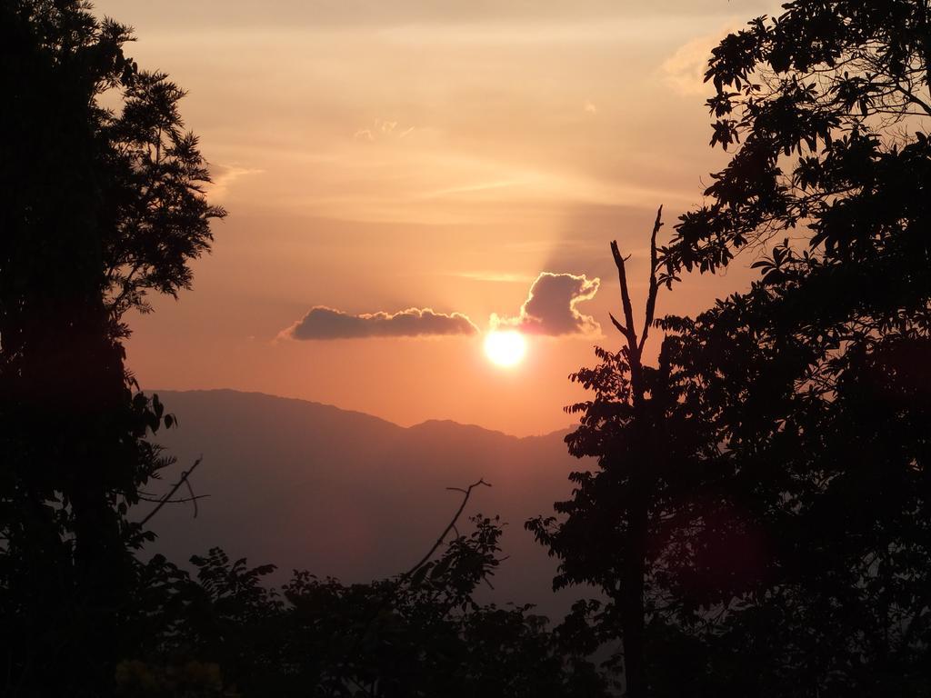 Welikande Yoga Retreats Hotel Digana Cameră foto